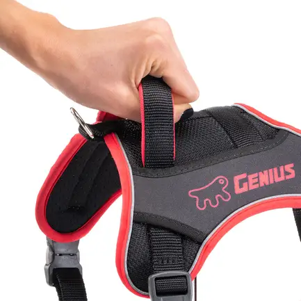 Ferplast GENIUS MEDIUM RED HARNESS нейлонова шлея для тварин червона: додаткове фото 7