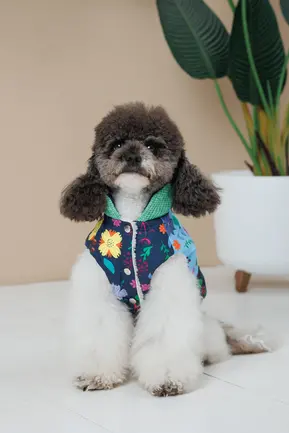 Жилет Pet Fashion Grass для собак розмір XS: додаткове фото 6