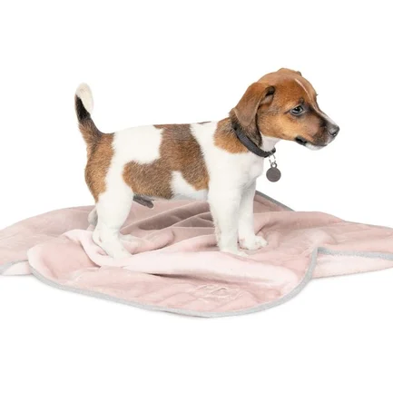 Плед Pet Fashion «Bliss» для собак та цуценят, 77х60 см, пудра: додаткове фото 2