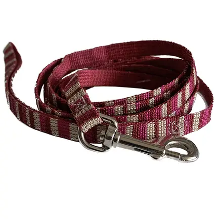 Coastal Pet Attire Weave КОСТАЛ повідець для собак, 1смХ1.8м Смужка