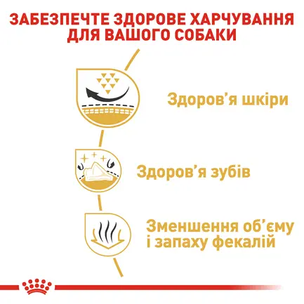 Сухий корм Royal Canin SHIH TZU ADULT для дорослих собак породи Ши-цу 1,5 кг: додаткове фото 4