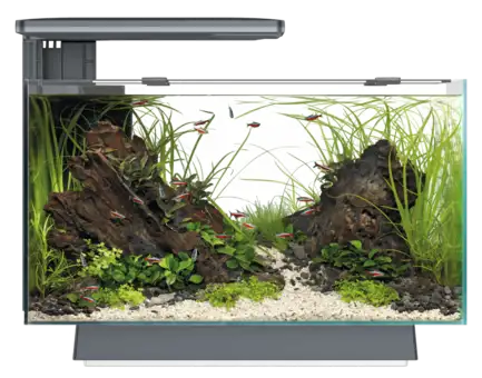 Акваріум скляний - Superfish Quadro 40 Multi Colour BLACK (A4052215): додаткове фото 6