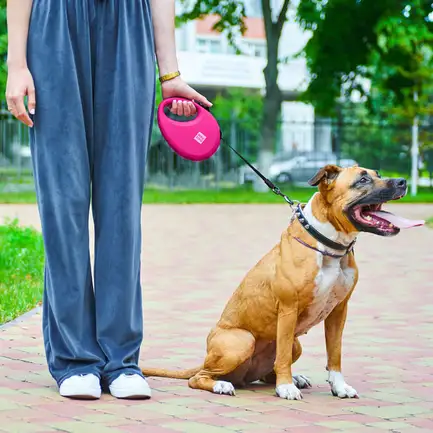 Повідець-рулетка для собак WAUDOG R-leash з контейнером для пакетів, світловідбивна стрічка, L, до 40 кг, 5 м, рожевий: додаткове фото 2