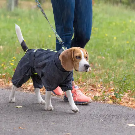 Дощовик Pet Fashion «Rain» для собак, розмір SM, сірий: додаткове фото 5