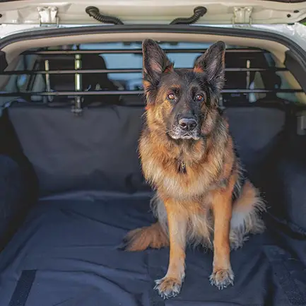 Ferplast DOG CAR SECURITY Автомобільні захисні грати для собак: додаткове фото 3