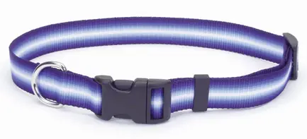 Coastal Trendz Graduated КОСТАЛ ГРАДІЄНТ нашийник для собак, 1х30см Пурпурний