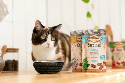 Ласощі Carnilove Cat Semi Moist Snack для котів, сардина та петрушка, 50 г: додаткове фото 6