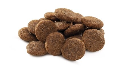 Сухий корм Brit Premium Dog Adult L для дорослих собак великих порід, з куркою, 15 кг — Фото 1