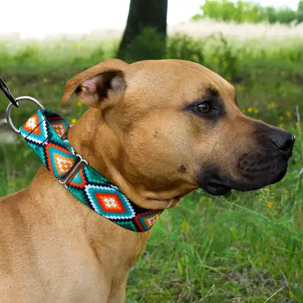 Нашийник для Собак Мартінґейл BronzeDog Urban Нейлоновий з Металевою Фурнітурою Ромби S: додаткове фото 4