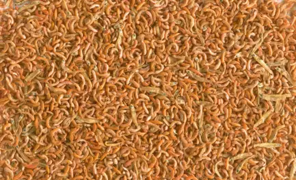 Корм Tetra ReptoMin Mix Gammarus для водних черепах, 250 мл: додаткове фото 3