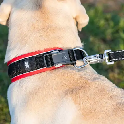 Ferplast GENIUS C25/65 BLACK COLLAR нейлоновий нашийник для тварин чорний: додаткове фото 4
