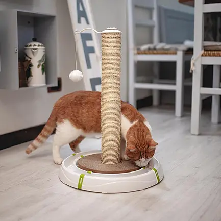 Ferplast MAGIC TOWER Іграшка-трек для котів: додаткове фото 6