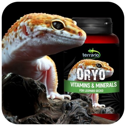 Вітаміни для леопардових геконів Terrario ORYO for Leopard Gecko 150г — Фото 2