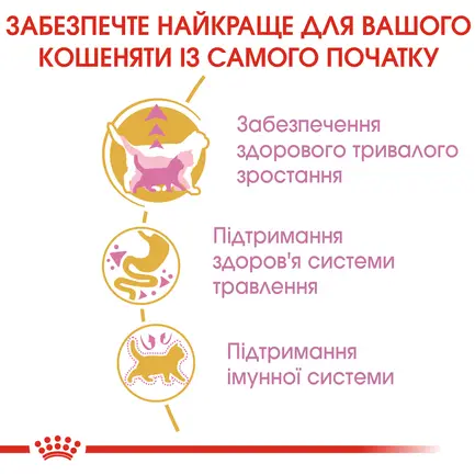 Сухий корм Royal Canin MAINECOON KITTEN для кошенят породи Мейн-кун 0,4 кг+KITTEN CIG 85g: додаткове фото 3