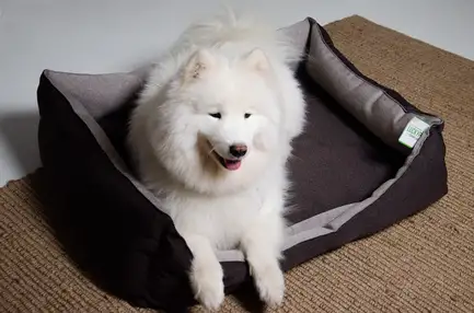 Лежак Тобі №3 Коричневий Lucky Pet, 50х70х20: додаткове фото 2
