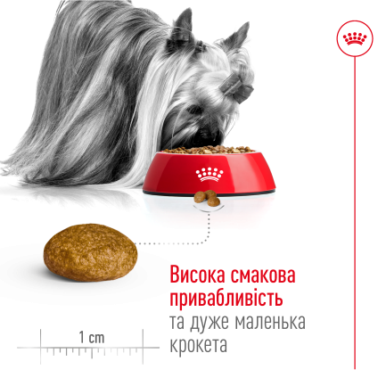 Сухий корм Royal Canin XSMALL ADULT для дорослих собак мініатюрних порід 3 кг — Фото 4