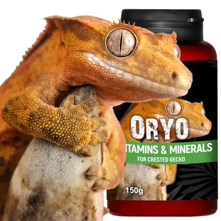 Вітаміни для війкового гекона бананаїда Terrario ORYO for Crested Gecko 150г: додаткове фото 2