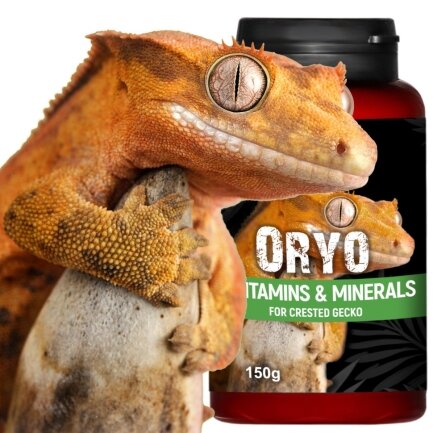 Вітаміни для війкового гекона бананаїда Terrario ORYO for Crested Gecko 150г — Фото 1