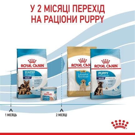 Сухий корм Royal Canin MAXI STARTER для дорослих собак великих порід 4 кг — Фото 7