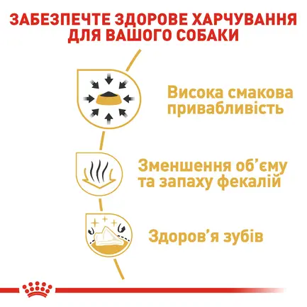 Сухий корм Royal Canin CHIHUAHUA PUPPY 0,5кг +WET MINI PUPPY 85 г: додаткове фото 5