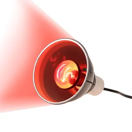 Інфрачервона нагрівальна лампа Repti-Zoo Infrared Heat 50W (R63050): додаткове фото 5