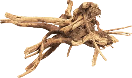 Павутинне дерево BIO ART SPIDER WOOD 10-15 CM (A4056250)
