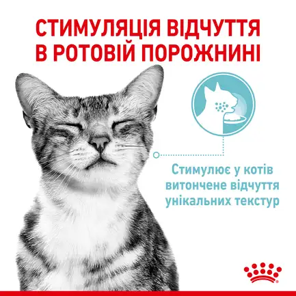 Вологий корм Royal Canin SENSORY FEEL JELLY для котів всіх порід 85 г: додаткове фото 2