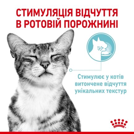 Вологий корм Royal Canin SENSORY FEEL JELLY для котів всіх порід 85 г — Фото 1