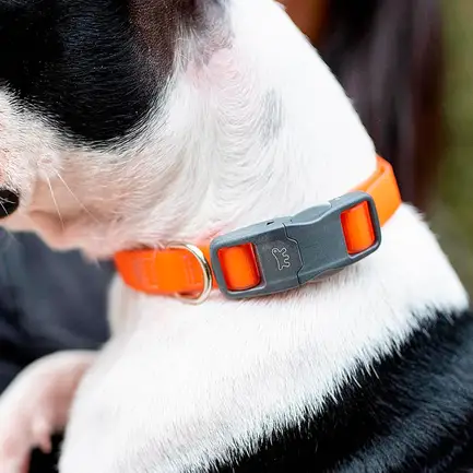 Ferplast EVOLUTION C25/56 COLLAR GREEN Нашийник для собак: додаткове фото 3