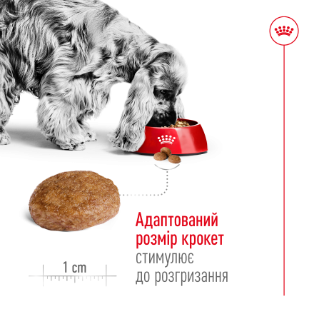 Сухий корм Royal Canin MEDIUM ADULT 7+ для собак зрілого віку середніх порід 4 кг — Фото 3