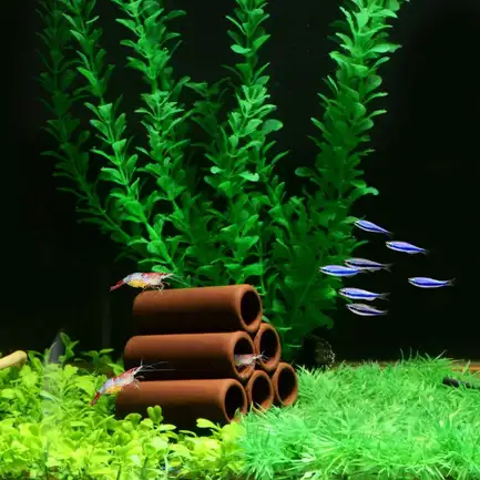 Декорація трубчасті схованки Hobby Prawn Pyramid 3-2-1 4x4,5x5см (41524): додаткове фото 4
