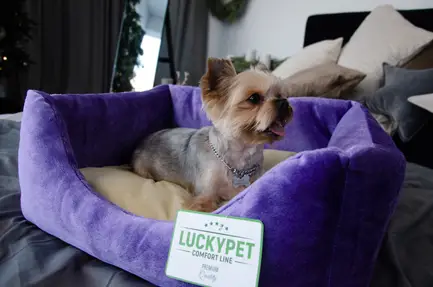 Лежак Рольф №3 Фіолетово-кремовий Luсky Pet, 60х80х24: додаткове фото 4