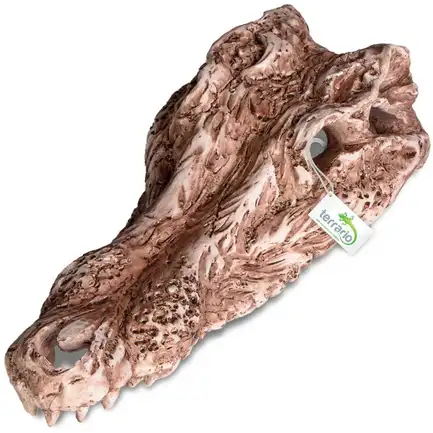 Декорація череп крокодила Terrario Crocodile Skull 30x14x9см (A15911): додаткове фото 4