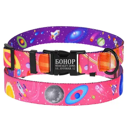 Нашийник для собак BronzeDog Urban Cosmos нейлоновий з металевою пряжкою Рожевий S