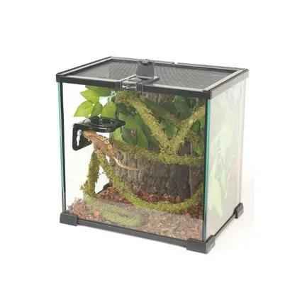 Ліана з натуральним мохом Repti-Zoo 1,5см x 2м (RV0215): додаткове фото 10