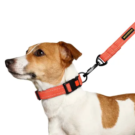 Нашийник для собак Bronzedog Сotton рефлекторний бавовняний брезент XL: додаткове фото 7