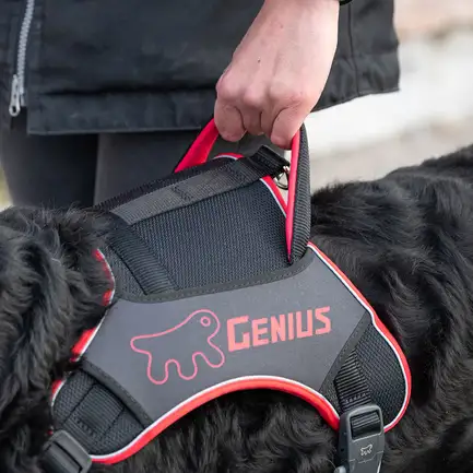 Ferplast GENIUS EX LARGE RED HARNESS нейлонова шлея для тварин червона: додаткове фото 4