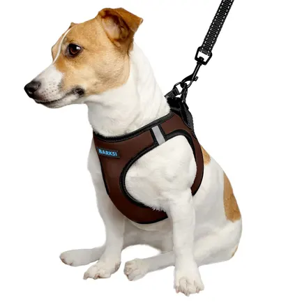 Шлея для собак Barksi Sport Vest неопрен 3D сітка коричнева L: додаткове фото 2