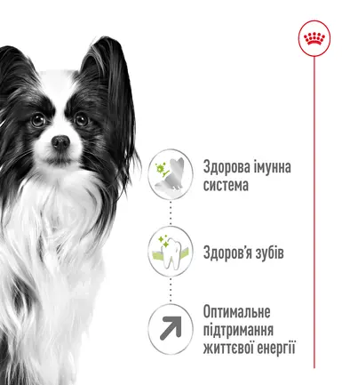 Сухий корм Royal Canin XSMALL ADULT 8+ для собак зрілого віку мініатюрних порід 3 кг: додаткове фото 6