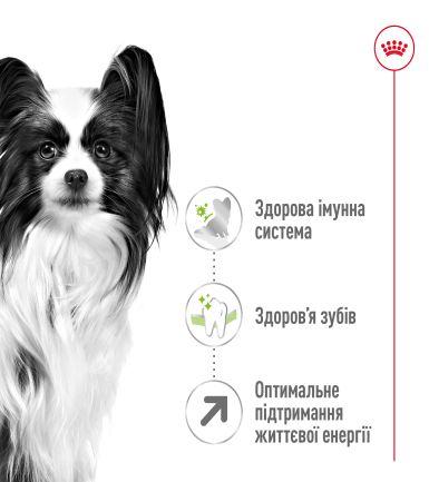 Сухий корм Royal Canin XSMALL ADULT 8+ для собак зрілого віку мініатюрних порід 3 кг — Фото 5