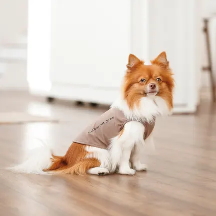 Борцівка Kale ТМ Pet Fashion для собак XS2 коричнева: додаткове фото 4