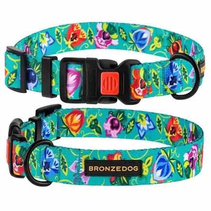 Нашийник для собак BronzeDog Urban Folk нейлоновий з пластиковою пряжкою ментоловий L: додаткове фото 3