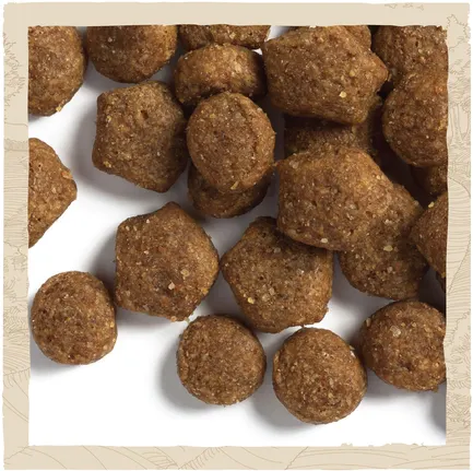 Сухий корм DOG CHOW Puppy <1 для цуценят з ягням 2,5 кг: додаткове фото 9