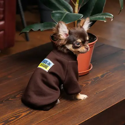Толстовка Pet Fashion Made in Ukraine для собак, розмір M, шоколадний: додаткове фото 3