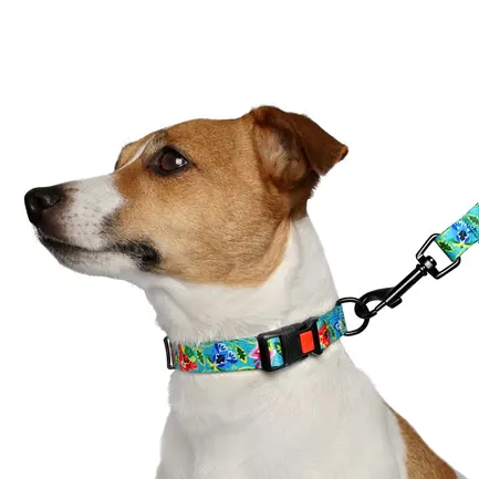Повідець для собак BronzeDog Urban Folk нейлоновий ментоловий L: додаткове фото 3