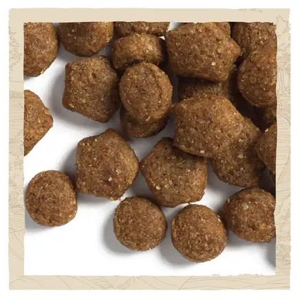 Сухий корм DOG CHOW Puppy <1 для цуценят з ягням 14 кг: додаткове фото 9