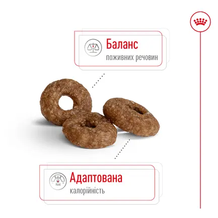 Сухий корм Royal Canin MINI AGEING 12+ для собак зрілого віку малих порід 0,8 кг: додаткове фото 5