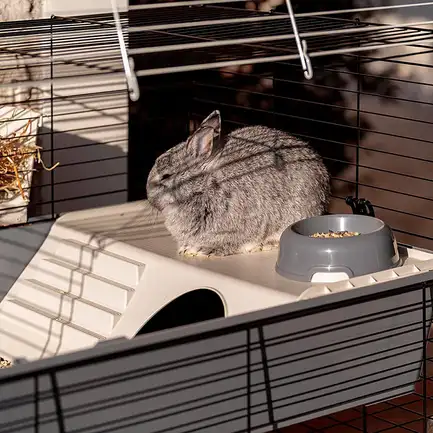 Ferplast CAGE RABBIT 100 DOUBLE Клітка 2 поверхи для кролів чорна: додаткове фото 6