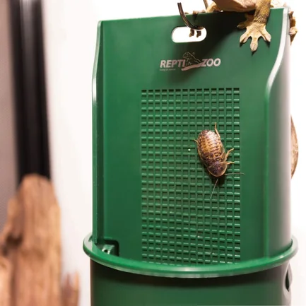 Підвісна годівниця для рептилій Repti-Zoo Arboreal Feeding Dish 20см (ERB28): додаткове фото 9