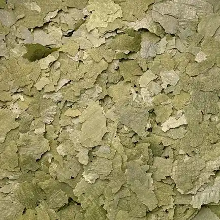 Корм Silbermann Escaverde 500 ml (SIMS122) пластівці спіруліни для морських та прісноводних акваріумних риб: додаткове фото 2